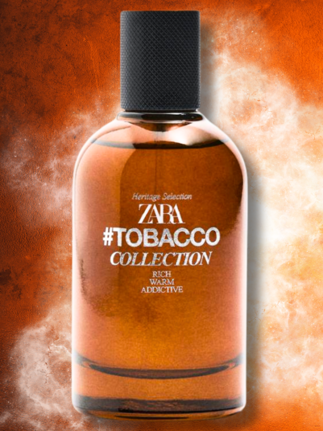 Top 12 Affordable Winter Perfumes